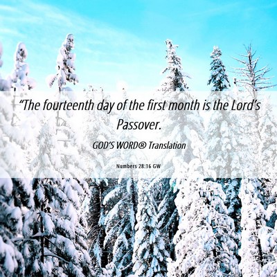 Picture 06 - Numbers 28:16 GW - “The fourteenth day of the first month is the - Bible Verse Picture