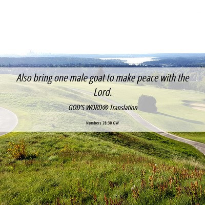 Picture 06 - Numbers 28:30 GW - Also bring one male goat to make peace with the - Bible Verse Picture