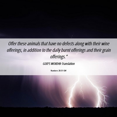 Picture 06 - Numbers 28:31 GW - Offer these animals that have no defects along - Bible Verse Picture