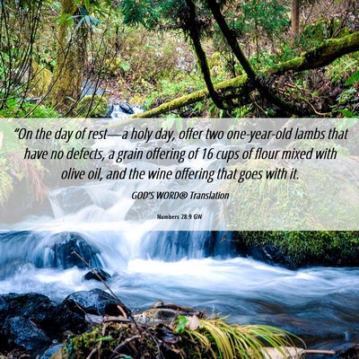 Picture 06 - Numbers 28:9 GW - “On the day of rest—a holy day, offer two - Bible Verse Picture