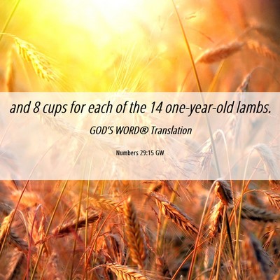Picture 06 - Numbers 29:15 GW - and 8 cups for each of the 14 one-year-old - Bible Verse Picture