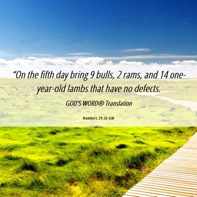 Picture 06 - Numbers 29:26 GW - “On the fifth day bring 9 bulls, 2 rams, and 14 - Bible Verse Picture