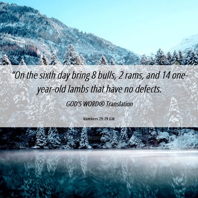 Picture 06 - Numbers 29:29 GW - “On the sixth day bring 8 bulls, 2 rams, and 14 - Bible Verse Picture
