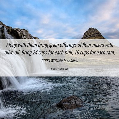 Picture 06 - Numbers 29:3 GW - Along with them bring grain offerings of flour - Bible Verse Picture
