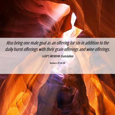 Picture 06 - Numbers 29:38 GW - Also bring one male goat as an offering for sin - Bible Verse Picture