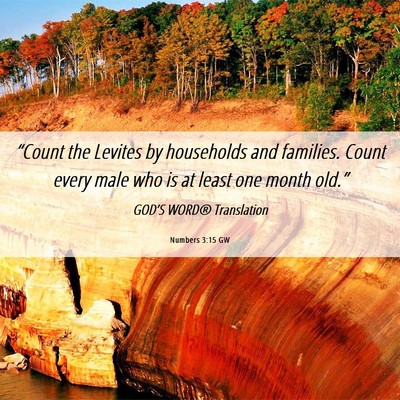 Picture 06 - Numbers 3:15 GW - “Count the Levites by households and families. - Bible Verse Picture