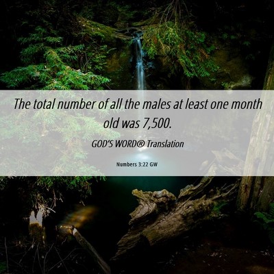 Picture 06 - Numbers 3:22 GW - The total number of all the males at least one - Bible Verse Picture