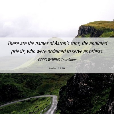 Picture 06 - Numbers 3:3 GW - These are the names of Aaron’s sons, the - Bible Verse Picture