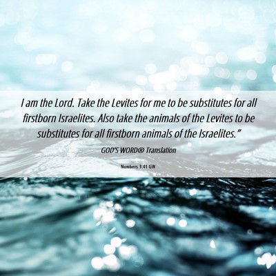 Picture 06 - Numbers 3:41 GW - I am the Lord. Take the Levites for me to be - Bible Verse Picture