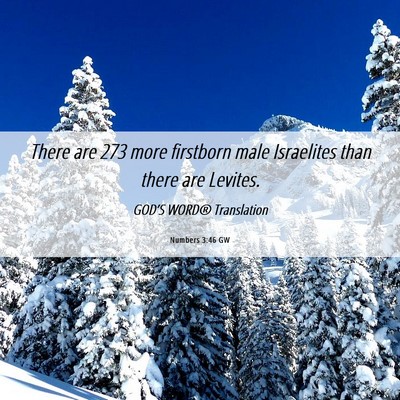 Picture 06 - Numbers 3:46 GW - There are 273 more firstborn male Israelites than - Bible Verse Picture