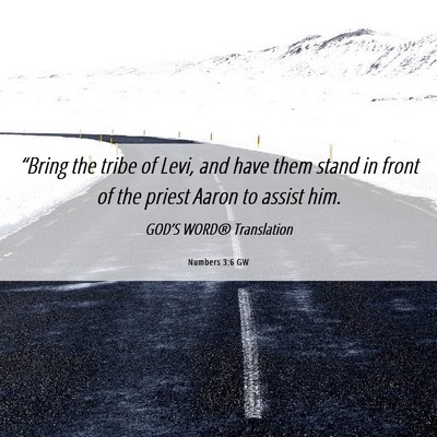 Picture 06 - Numbers 3:6 GW - “Bring the tribe of Levi, and have them stand - Bible Verse Picture