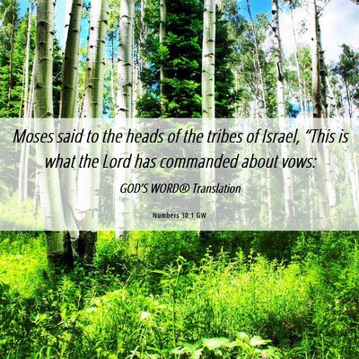 Picture 06 - Numbers 30:1 GW - Moses said to the heads of the tribes of Israel, - Bible Verse Picture