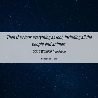 Picture 06 - Numbers 31:11 GW - Then they took everything as loot, including all - Bible Verse Picture