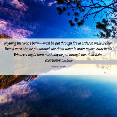 Picture 06 - Numbers 31:23 GW - anything that won’t burn—must be put through - Bible Verse Picture