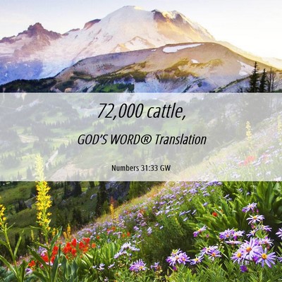Picture 06 - Numbers 31:33 GW - 72,000 - Bible Verse Picture