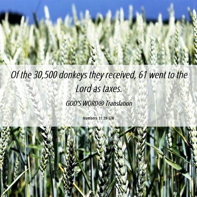 Picture 06 - Numbers 31:39 GW - Of the 30,500 donkeys they received, 61 went to - Bible Verse Picture