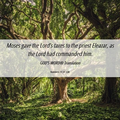 Picture 06 - Numbers 31:41 GW - Moses gave the Lord’s taxes to the priest - Bible Verse Picture
