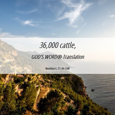 Picture 06 - Numbers 31:44 GW - 36,000 - Bible Verse Picture