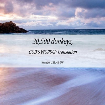 Picture 06 - Numbers 31:45 GW - 30,500 - Bible Verse Picture