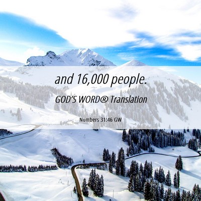 Picture 06 - Numbers 31:46 GW - and 16,000 - Bible Verse Picture