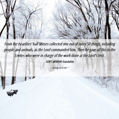 Picture 06 - Numbers 31:47 GW - From the Israelites’ half Moses collected one - Bible Verse Picture