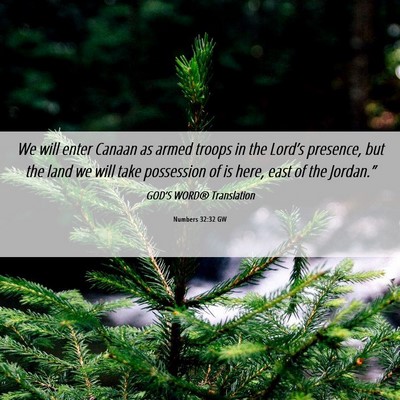 Picture 06 - Numbers 32:32 GW - We will enter Canaan as armed troops in the - Bible Verse Picture