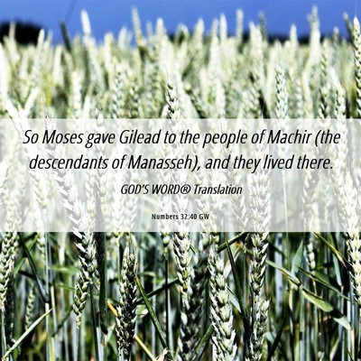 Picture 06 - Numbers 32:40 GW - So Moses gave Gilead to the people of Machir (the - Bible Verse Picture