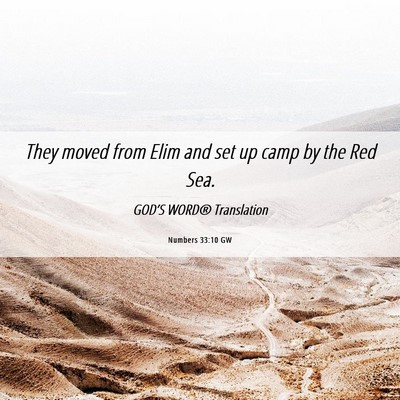 Picture 06 - Numbers 33:10 GW - They moved from Elim and set up camp by the Red - Bible Verse Picture