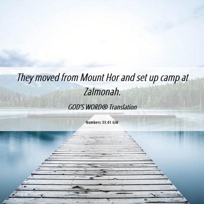 Picture 06 - Numbers 33:41 GW - They moved from Mount Hor and set up camp at - Bible Verse Picture