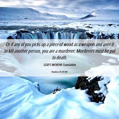 Picture 06 - Numbers 35:18 GW - Or if any of you picks up a piece of wood as a - Bible Verse Picture