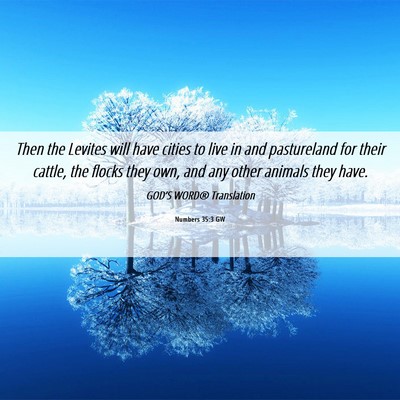 Picture 06 - Numbers 35:3 GW - Then the Levites will have cities to live in and - Bible Verse Picture