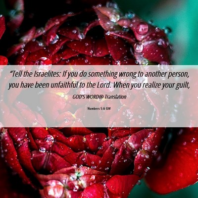Picture 06 - Numbers 5:6 GW - “Tell the Israelites: If you do something wrong - Bible Verse Picture