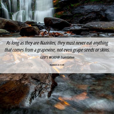 Picture 06 - Numbers 6:4 GW - As long as they are Nazirites, they must never - Bible Verse Picture
