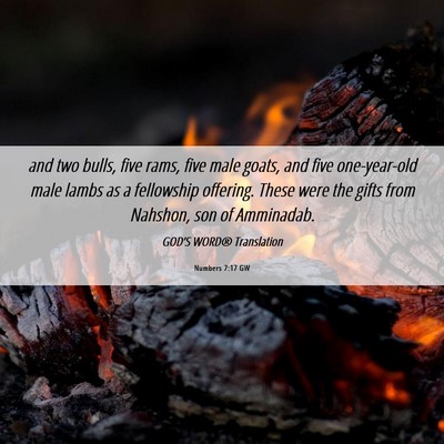 Picture 06 - Numbers 7:17 GW - and two bulls, five rams, five male goats, and - Bible Verse Picture