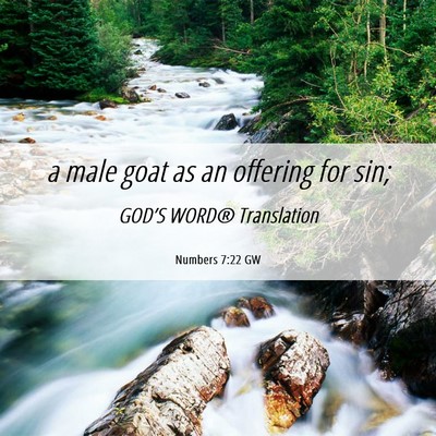 Picture 06 - Numbers 7:22 GW - a male goat as an offering for - Bible Verse Picture