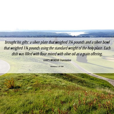 Picture 06 - Numbers 7:31 GW - brought his gifts: a silver plate that weighed - Bible Verse Picture