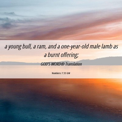 Picture 06 - Numbers 7:33 GW - a young bull, a ram, and a one-year-old male lamb - Bible Verse Picture