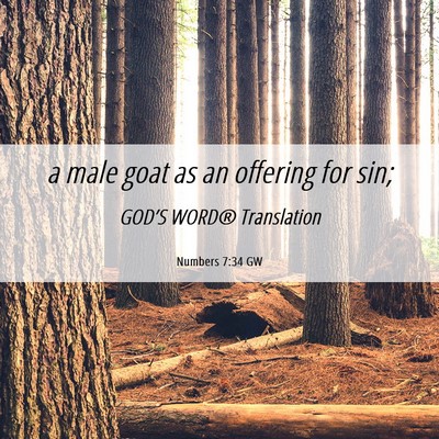 Picture 06 - Numbers 7:34 GW - a male goat as an offering for - Bible Verse Picture