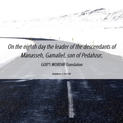 Picture 06 - Numbers 7:54 GW - On the eighth day the leader of the descendants - Bible Verse Picture