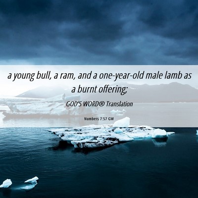 Picture 06 - Numbers 7:57 GW - a young bull, a ram, and a one-year-old male lamb - Bible Verse Picture