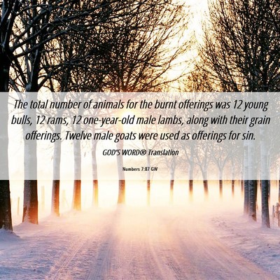 Picture 06 - Numbers 7:87 GW - The total number of animals for the burnt - Bible Verse Picture