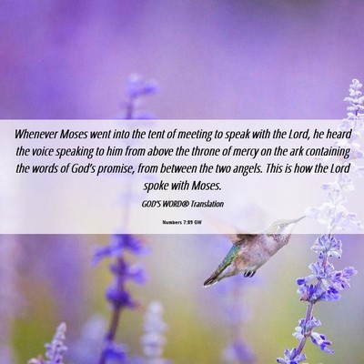 Picture 06 - Numbers 7:89 GW - Whenever Moses went into the tent of meeting to - Bible Verse Picture