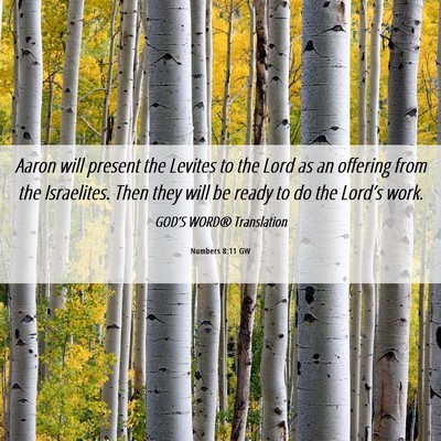 Picture 06 - Numbers 8:11 GW - Aaron will present the Levites to the Lord as an - Bible Verse Picture