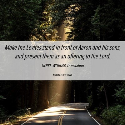 Picture 06 - Numbers 8:13 GW - Make the Levites stand in front of Aaron and his - Bible Verse Picture