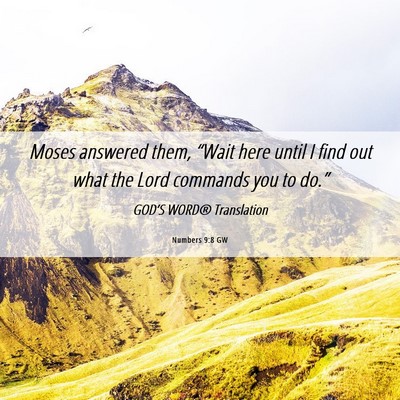 Picture 06 - Numbers 9:8 GW - Moses answered them, “Wait here until I find - Bible Verse Picture