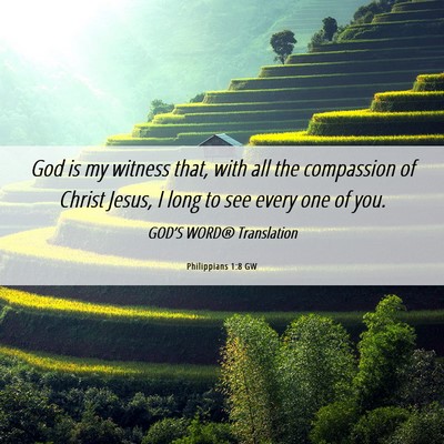 Picture 06 - Philippians 1:8 GW - God is my witness that, with all the compassion - Bible Verse Picture