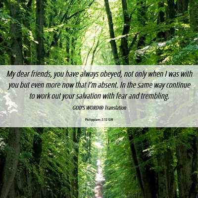 Picture 06 - Philippians 2:12 GW - My dear friends, you have always obeyed, not only - Bible Verse Picture