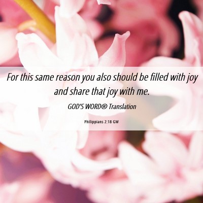Picture 06 - Philippians 2:18 GW - For this same reason you also should be filled - Bible Verse Picture