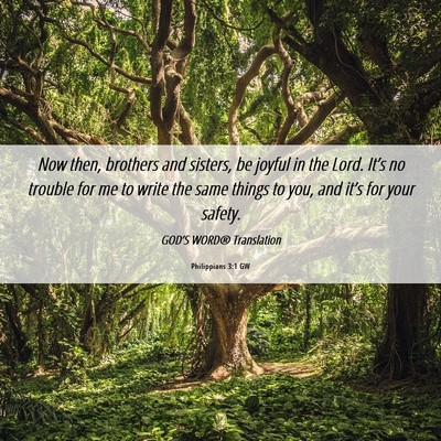 Picture 06 - Philippians 3:1 GW - Now then, brothers and sisters, be joyful in the - Bible Verse Picture
