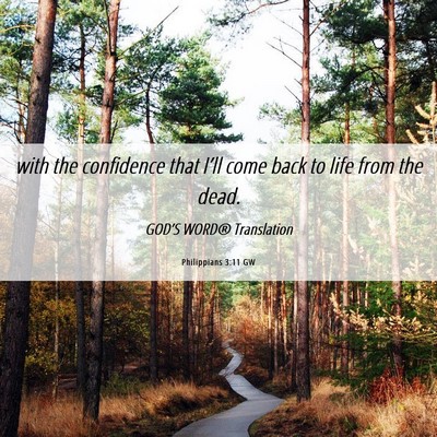 Picture 06 - Philippians 3:11 GW - with the confidence that I’ll come back to life - Bible Verse Picture